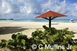 Umbrella on Jolly beach, Antigua