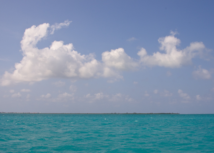 ocean